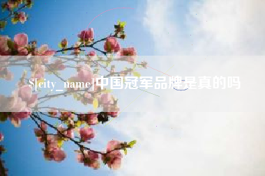 双峰中国冠军品牌是真的吗