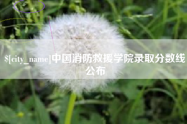 双峰中国消防救援学院录取分数线公布