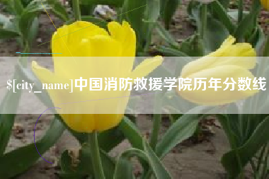 双峰中国消防救援学院历年分数线