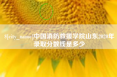 双峰中国消防救援学院山东2020年录取分数线是多少