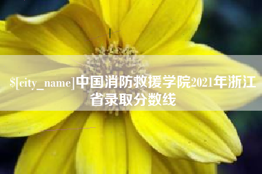 双峰中国消防救援学院2021年浙江省录取分数线