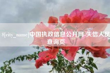 双峰中国执政信息公开网-失信人员查询页