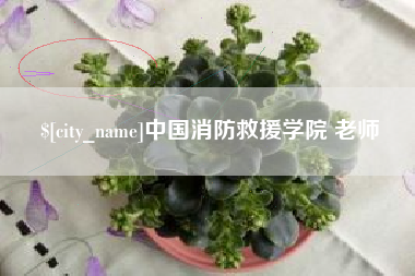双峰中国消防救援学院 老师