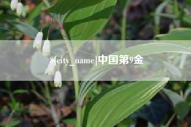 双峰中国第9金