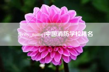 双峰中国消防学校排名