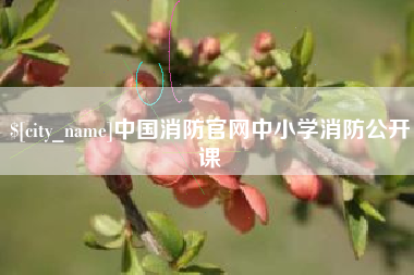 双峰中国消防官网中小学消防公开课