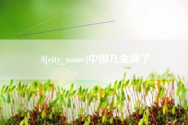 双峰中国几金牌了
