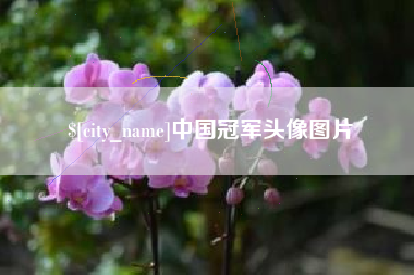 双峰中国冠军头像图片