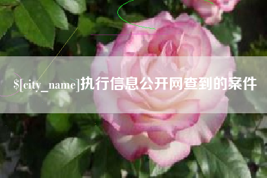 双峰执行信息公开网查到的案件