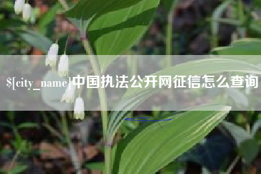双峰中国执法公开网征信怎么查询