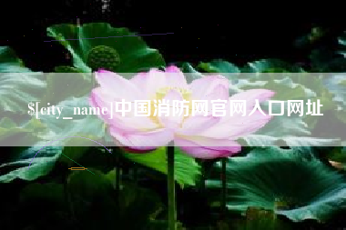 双峰中国消防网官网入口网址