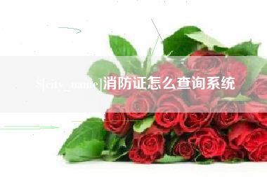 双峰消防证怎么查询系统