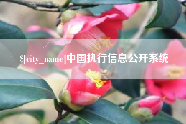 双峰中国执行信息公开系统
