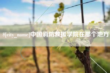 双峰中国消防救援学院在那个地方