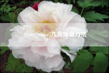 双峰九宫排盘方法