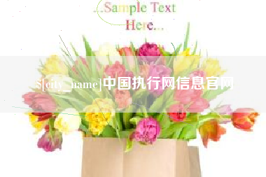 双峰中国执行网信息官网