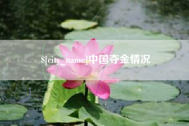 双峰中国夺金情况