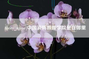 双峰中国消防救援学院是在哪里