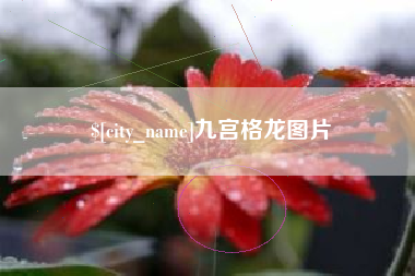 双峰九宫格龙图片