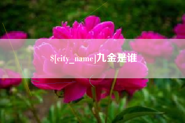 双峰九金是谁