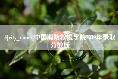 双峰中国消防救援学院2019年录取分数线