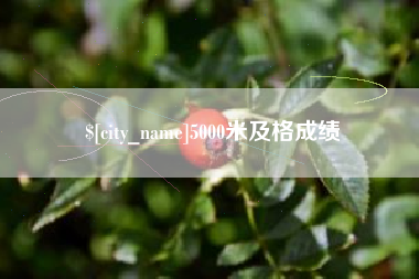 双峰5000米及格成绩