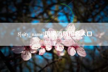 双峰国家消防报名入口
