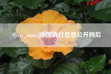 双峰中国执行信息公开网后
