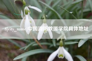 双峰中国消防救援学院具体地址