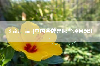 双峰中国金牌是哪些项目2021