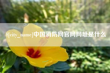 双峰中国消防网官网网址是什么