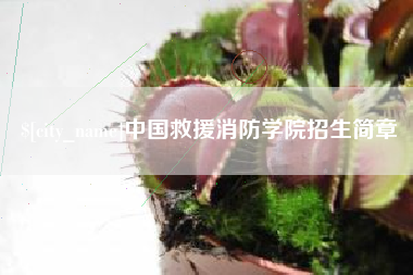 双峰中国救援消防学院招生简章