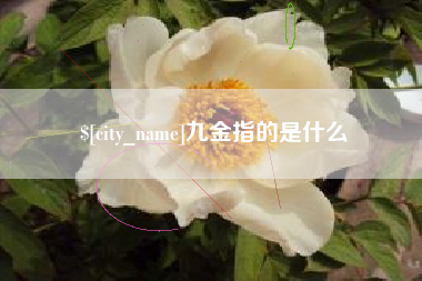 双峰九金指的是什么