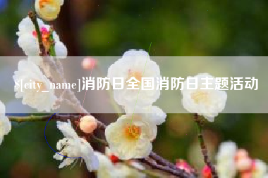 双峰消防日全国消防日主题活动