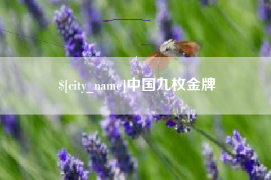 双峰中国九枚金牌