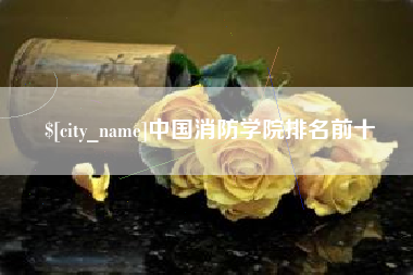 双峰中国消防学院排名前十