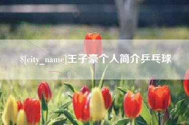 双峰王子豪个人简介乒乓球