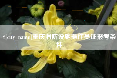 双峰重庆消防设施操作员证报考条件