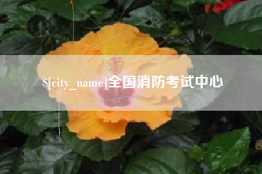 双峰全国消防考试中心