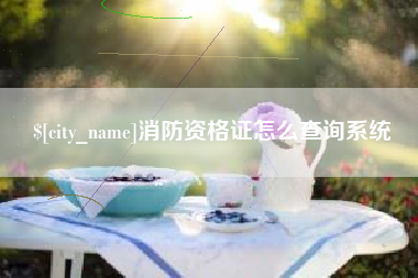 双峰消防资格证怎么查询系统