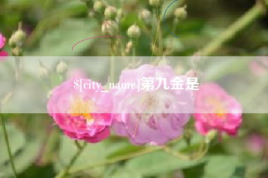 双峰第九金是