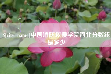 双峰中国消防救援学院河北分数线是多少