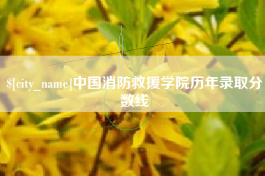 双峰中国消防救援学院历年录取分数线