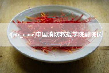 双峰中国消防救援学院副院长