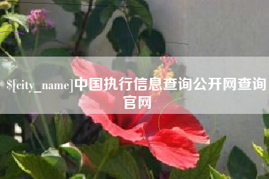 双峰中国执行信息查询公开网查询官网