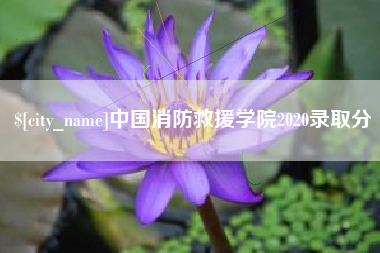 双峰中国消防救援学院2020录取分