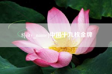 双峰中国十九枚金牌