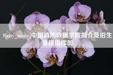 双峰中国消防救援学院简介及招生章程指挥部