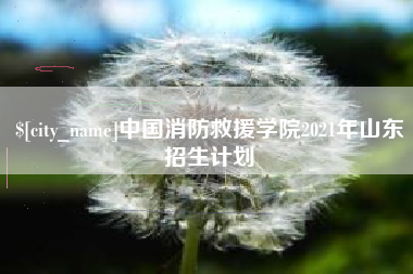 双峰中国消防救援学院2021年山东招生计划