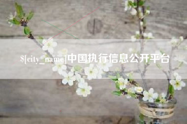 双峰中国执行信息公开平台